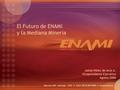 El Futuro de ENAMI y la Mediana Minería Jaime Pérez de Arce A. Vicepresidente Ejecutivo Agosto 2008.