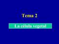 Tema 2 La célula vegetal. Objetivo Revisar los conocimientos previamente adquiridos acerca de los componentes de las células vegetales, haciendo especial.