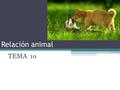 Relación animal TEMA 10.