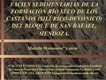 FACIES SEDIMENTARIAS DE LA FORMACIÓN RÍO SECO DE LOS CASTAÑOS (SILÚRICO-DEVÓNICO) DEL BLOQUE DE SAN RAFAEL, MENDOZA. *CIG (UNLP-CONICET): Centro de Investigaciones.