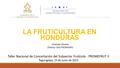 LA FRUTICULTURA EN HONDURAS Taller Nacional de Concertación del Subsector Frutícola - PROMEFRUT II Tegucigalpa, 23 de junio de 2015 Orlando Cáceres Director.