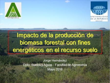 Impacto de la producción de biomasa forestal con fines energéticos en el recurso suelo Jorge Hernández Dpto. Suelos y Aguas - Facultad de Agronomía Mayo.
