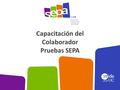 Capacitación del Colaborador Pruebas SEPA. Es importante que usted lea completamente esta guía previo a la organización y la aplicación de las pruebas.