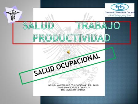 SALUD OCUPACIONAL ING. IND. MAGISTER LUIS FELIPE MERCHAN ESP. SALUD OCUPACIONAL Y RIESGOS LABORALES ESP. EDUCACION SUPERIOR.