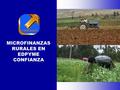 MICROFINANZAS RURALES EN EDPYME CONFIANZA BANCOS INSTITUCIONES MICROFINACIERAS AGROBANCO I. CONTEXTO DE MICROFINANZAS RURALES El sistema financiero rural.