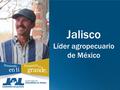 Jalisco Líder agropecuario de México. Leche La producción de leche anual equivale a 760 albercas olímpicas y al consumo anual del 14% de los mexicanos.