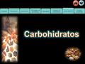 Carbohidratos Propósito Introducción Actividad de consolidación