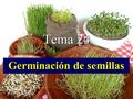 Germinación de semillas