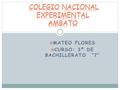 Colegio nacional experimental Ambato