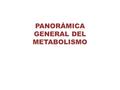 PANORÁMICA GENERAL DEL METABOLISMO