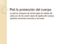 Piel: la protección del cuerpo La piel se compone de varias capas de células, de cada uno de los cuatro tipos de tejidos del cuerpo: epitelial, conectivo,