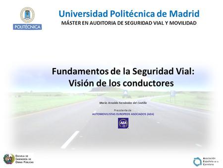 Universidad Politécnica de Madrid MÁSTER EN AUDITORIA DE SEGURIDAD VIAL Y MOVILIDAD Fundamentos de la Seguridad Vial: Visión de los conductores Mario Arnaldo.