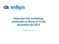 Resumen del workshop celebrado en Bonn el 13 de diciembre de 2012 Madrid, Marzo 2013.