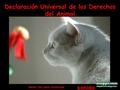 Hacer clic para continuar sonido Declaración Universal de los Derechos del Animal.