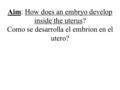 Aim: How does an embryo develop inside the uterus? Como se desarrolla el embrion en el utero?