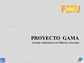 PROYECTO GAMA Gestión Ambiental en la Minería Artesanal.