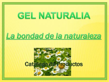 SOMOS UNA EMPRESA 100% MEXICANA DEDICADA A LA FABRICACION DE GELES, CREMAS, SHAMPOOS, SPRAY Y TONICOS NATURALES A TRAVES DE PROCEDIMIENTOS DE FITOTERAPIA,