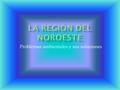 Problemas ambientales y sus soluciones.  Las actividades económicas de la región, tales como la agricultura intensiva, la tala de árboles y la explotación.