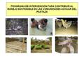 PROGRAMA DE INTERVENCION PARA CONTRIBUIR AL MANEJO SOSTENIBLE EN LAS COMUNIDADES ACHUAR DEL PASTAZA.