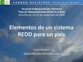 Lucio Pedroni Elementos de un sistema REDD para un país CARBON DECISIONS·international T ALLER DE F ORMULACIÓN D EL P ROYECTO.