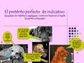 El pretérito perfecto de indicativo Escuchen los relatitos y expliquen: ¿cómo se traducen al inglés las partes subrayadas? 1 2 1 Que no he sido yo, amigo.