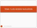 Tema 7. Los ácidos nucleicos 1 TEMA 7.LOS ÁCIDOS NUCLEÍCOS.