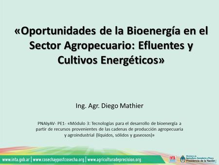 «Oportunidades de la Bioenergía en el Sector Agropecuario: Efluentes y Cultivos Energéticos» Ing. Agr. Diego Mathier PNAIyAV- PE1- «Módulo 3: Tecnologías.