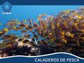 CALADEROS DE PESCA. Proyecto Fue producto del interés Estatal por la exploración en búsqueda de hidrocarburos en parte del Mar Territorial colombiano,