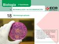 MICROBIOLOGÍA Y AUTOCONSERVACIÓN IV. 18 Microbiología aplicada Biología 2º Bachillerato 1. Modos de vida de los microorganismos 2. Microorganismos autótrofos.