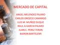 MERCADO DE CAPITAL ANGEL MELENDEZ PAJARO CARLOS OROZCO CAMARGO LUIS M. MUÑOZ DUQUE RAUL A.GARCIA PAJARO JUAN C. PEREZ TERAN BAIRON BARTELEMI.