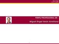 -1--1- Miguel Ángel Verón Armiñana PERFIL PROFESIONAL DE : Miguel Ángel Verón Armiñana.