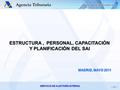 SERVICIO DE AUDITORÍA INTERNA ESTRUCTURA, PERSONAL, CAPACITACIÓN Y PLANIFICACIÓN DEL SAI MADRID, MAYO 2011 ESTRUCTURA, PERSONAL, CAPACITACIÓN Y PLANIFICACIÓN.
