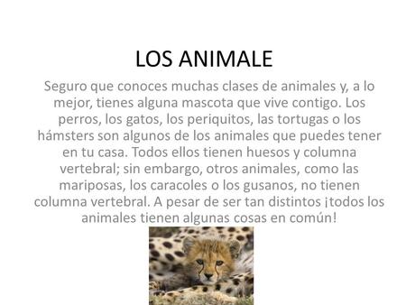 LOS ANIMALE Seguro que conoces muchas clases de animales y, a lo mejor, tienes alguna mascota que vive contigo. Los perros, los gatos, los periquitos,
