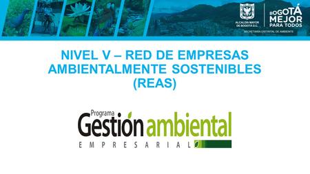 NIVEL V – RED DE EMPRESAS AMBIENTALMENTE SOSTENIBLES (REAS)