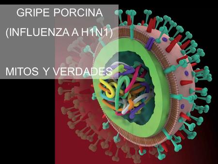 GRIPE PORCINA (INFLUENZA A H1N1) MITOS Y VERDADES.