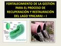 FORTALECIMIENTO DE LA GESTIÓN PARA EL PROCESO DE RECUPERACIÓN Y RESTAURACIÓN DEL LAGO YPACARAI – I.