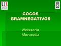 COCOS GRAMNEGATIVOS Neisseria Moraxella.