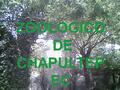 El Zoológico de Chapultepec, el parque zoológico más grande de Latinoamérica, esta localizado en el bosque de Chapultepec en la (Ciudad de México, México).