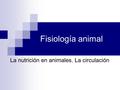 La nutrición en animales. La circulación