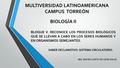 SABER DECLARATIVO: SISTEMA CIRCULATORIO.