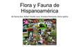 Flora y Fauna de Hispanoamérica de Danny Keir, Rafael Treviño Lenz, Kristýna Petrovská, Daria Lyalina.