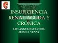 INSUFICIENCIA RENAL AGUDA Y CRÓNICA LIC :ANGULO ACEVEDO, JESSICA YENNY.