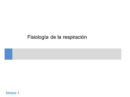 Fisiología de la respiración