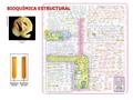 BIOQUÍMICA ESTRUCTURAL. BIOELEMENTOS Los seres vivos están formados alrededor de 30 de los más de 90 elementos químicos presentes en la naturaleza Bioelementos.