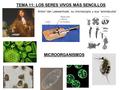 TEMA 11: LOS SERES VIVOS MÁS SENCILLOS Anton Van Leewenhoek, su microscopio y sus “animáculos” MICROORGANISMOS.