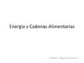 Energía y Cadenas Alimentarias Profesor: Miguel Contreras V.