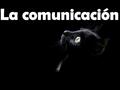 Emisor Medio, código y mensaje Receptor Audio Audiovisual Digital.