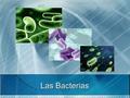 Las Bacterias.