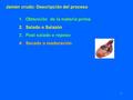 Jamón crudo: Descripción del proceso