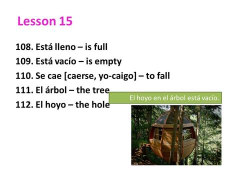 Lesson 15 108. Está lleno – is full 109. Está vacío – is empty 110. Se cae [caerse, yo-caigo] – to fall 111. El árbol – the tree 112. El hoyo – the hole.